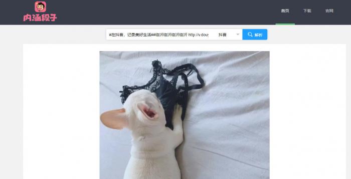短视频无水印解析源码半开源分享-书宇源码网