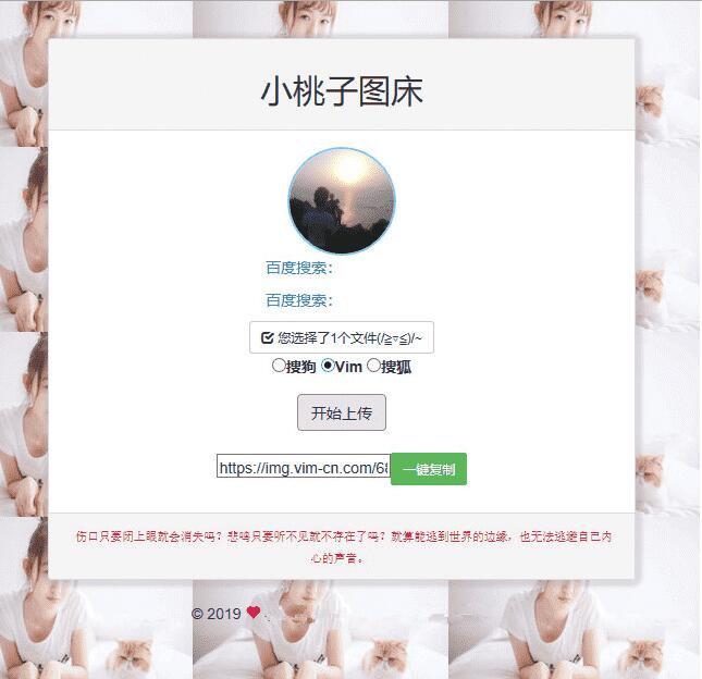 聚合图床程序源码 支持搜狗搜狐Vim图-书宇源码网