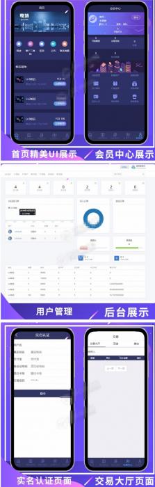 全新UI疯狂蚂蚁区块链矿池重置版网站源码 全开源可二开-书宇源码网