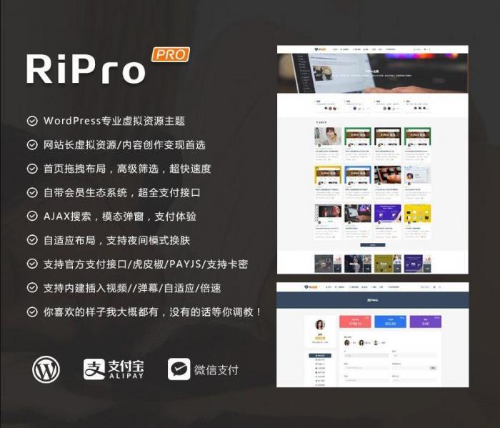 RIPro主题 v7.2 免授权修复后门完美版-书宇源码网