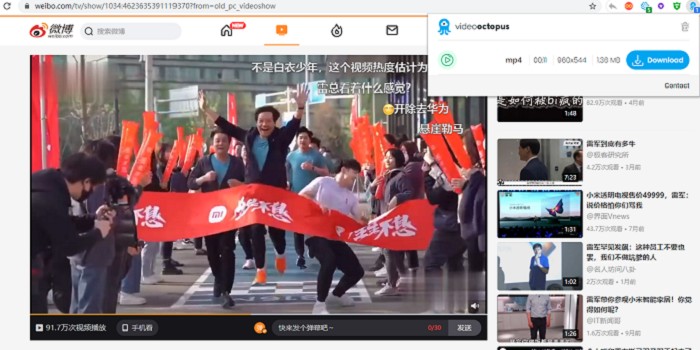 浏览器网页视频下载Video Octopus插件-书宇源码网