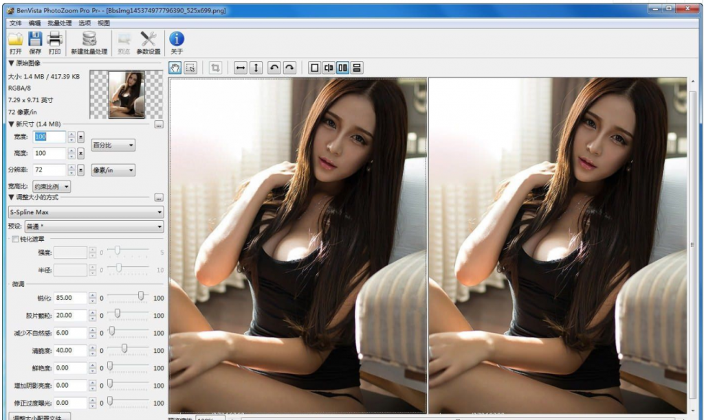 PhotoZoom破解专业版-图像无损放大工具-书宇源码网
