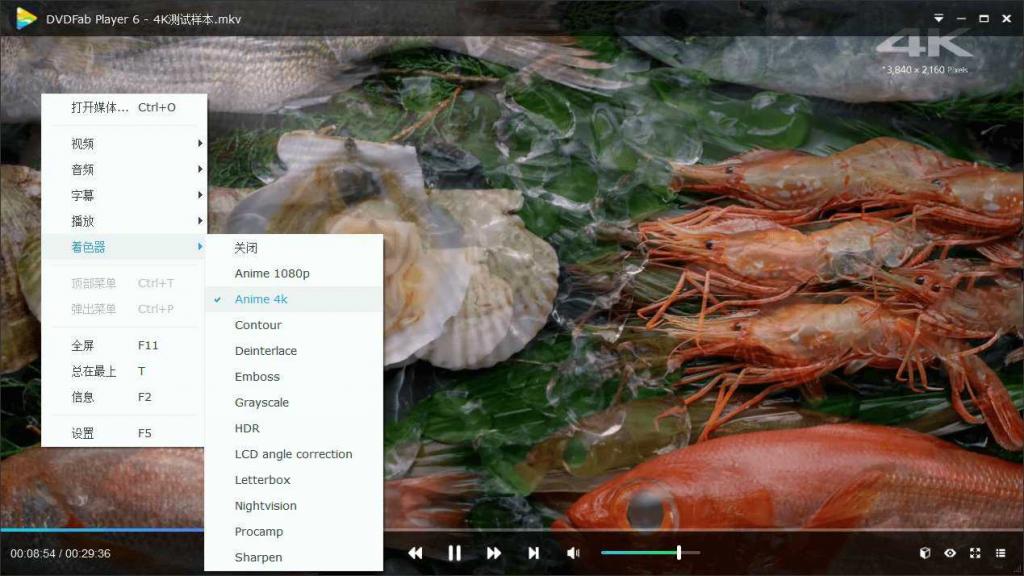 DVDFab Player v6.1.1高级版-书宇源码网