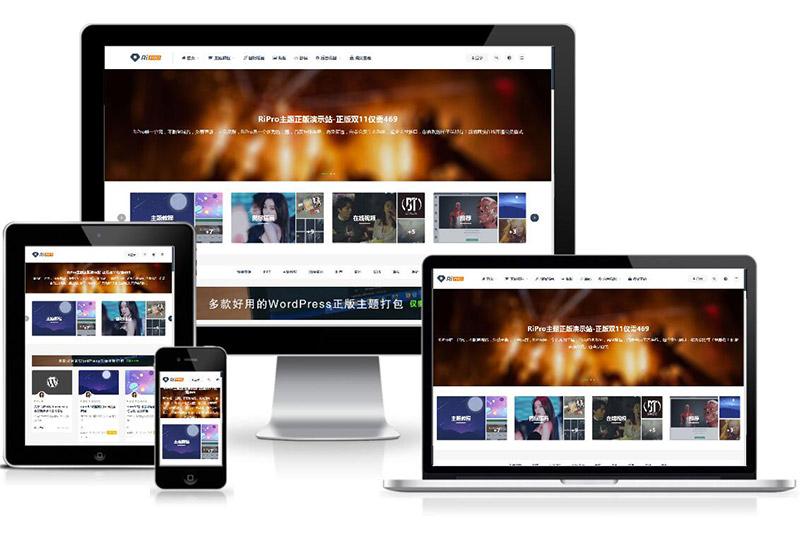 WordPress付费资源下载主题：ripro8.7最新破解版-书宇源码网