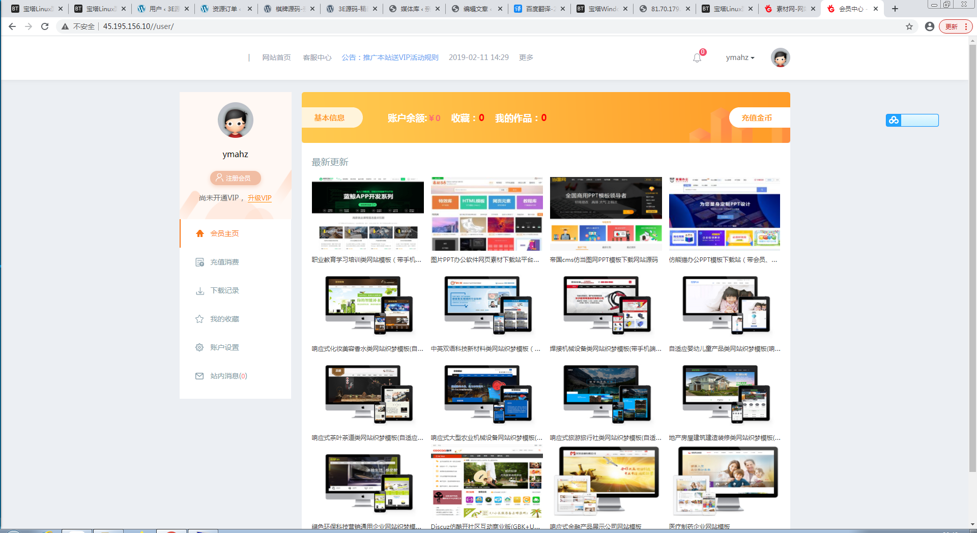 素材源码资源下载站源码，带用户中心和VIP充值系统，后台管理+素材下载+积分金币下载【站长亲测】插图4