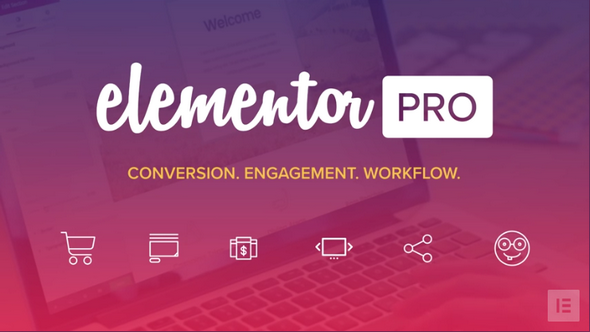 【Elementor Pro v2.10.0】WordPress插件+弹窗生成器+主题生成器+可视化拖拽编辑器插件+300多个Designer Made模板+专业版-书宇源码网